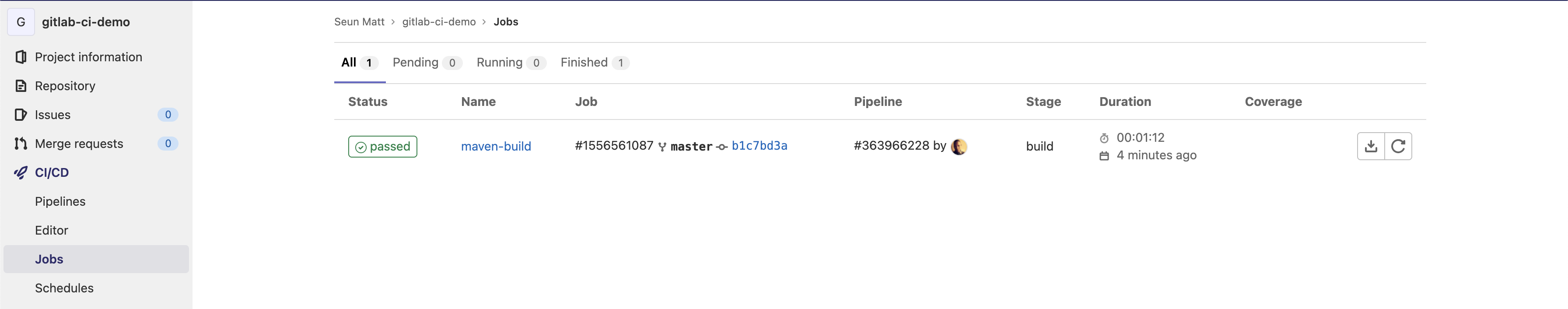 screenshot of gitlab jobs page